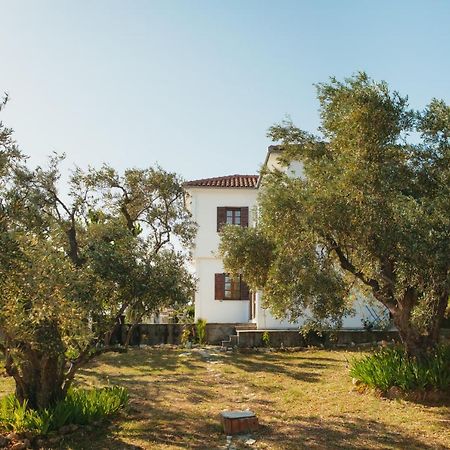 Βίλλα Φανούλα Villa Fanoula Chorto Extérieur photo