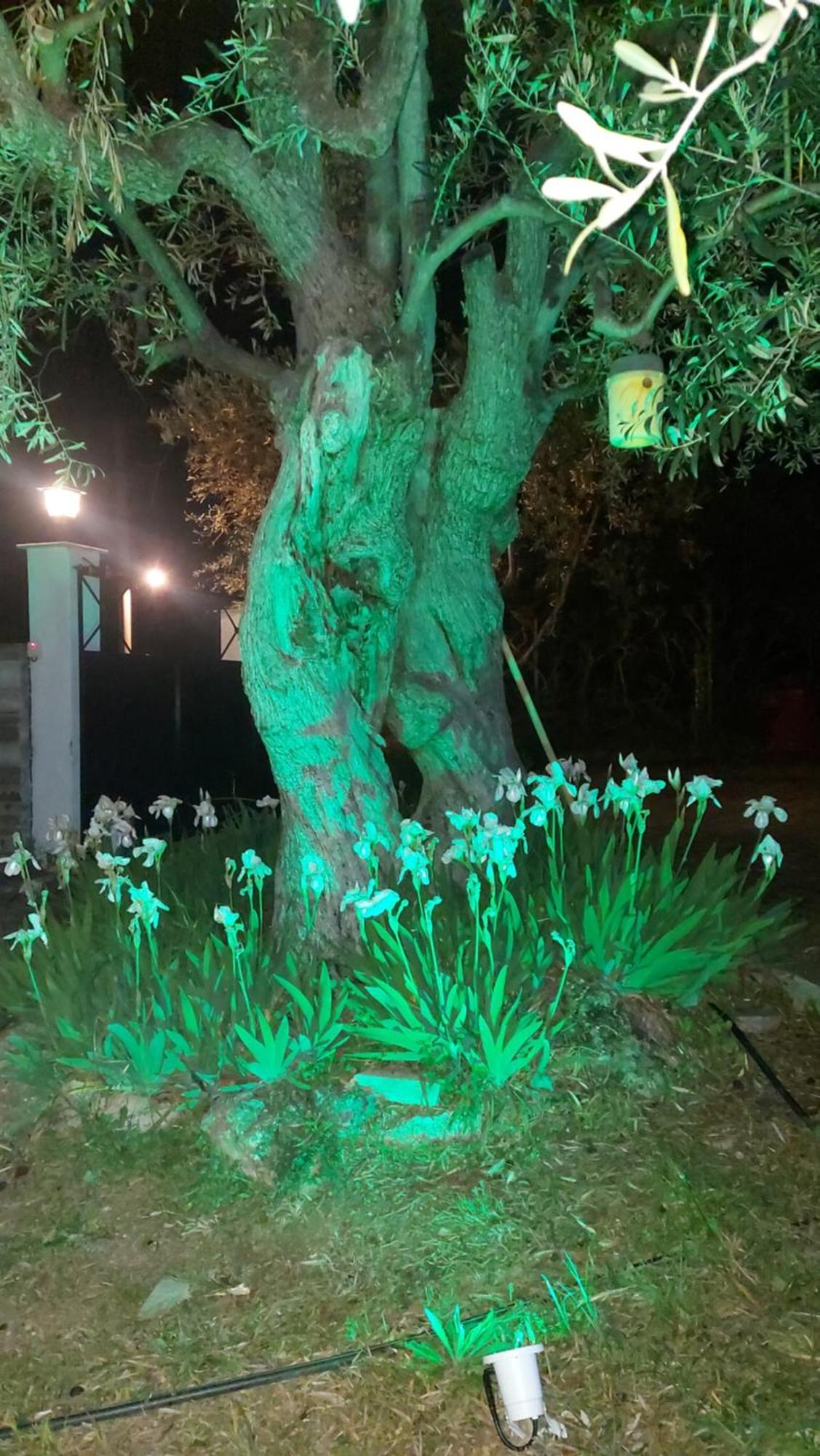 Βίλλα Φανούλα Villa Fanoula Chorto Extérieur photo
