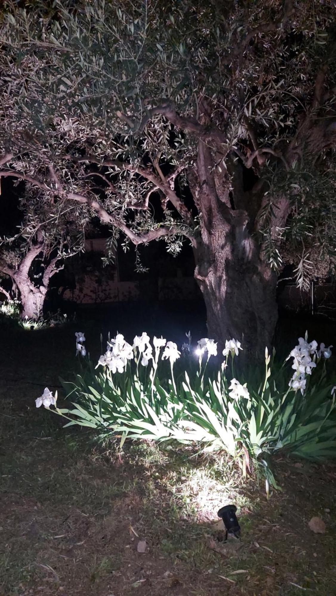 Βίλλα Φανούλα Villa Fanoula Chorto Extérieur photo